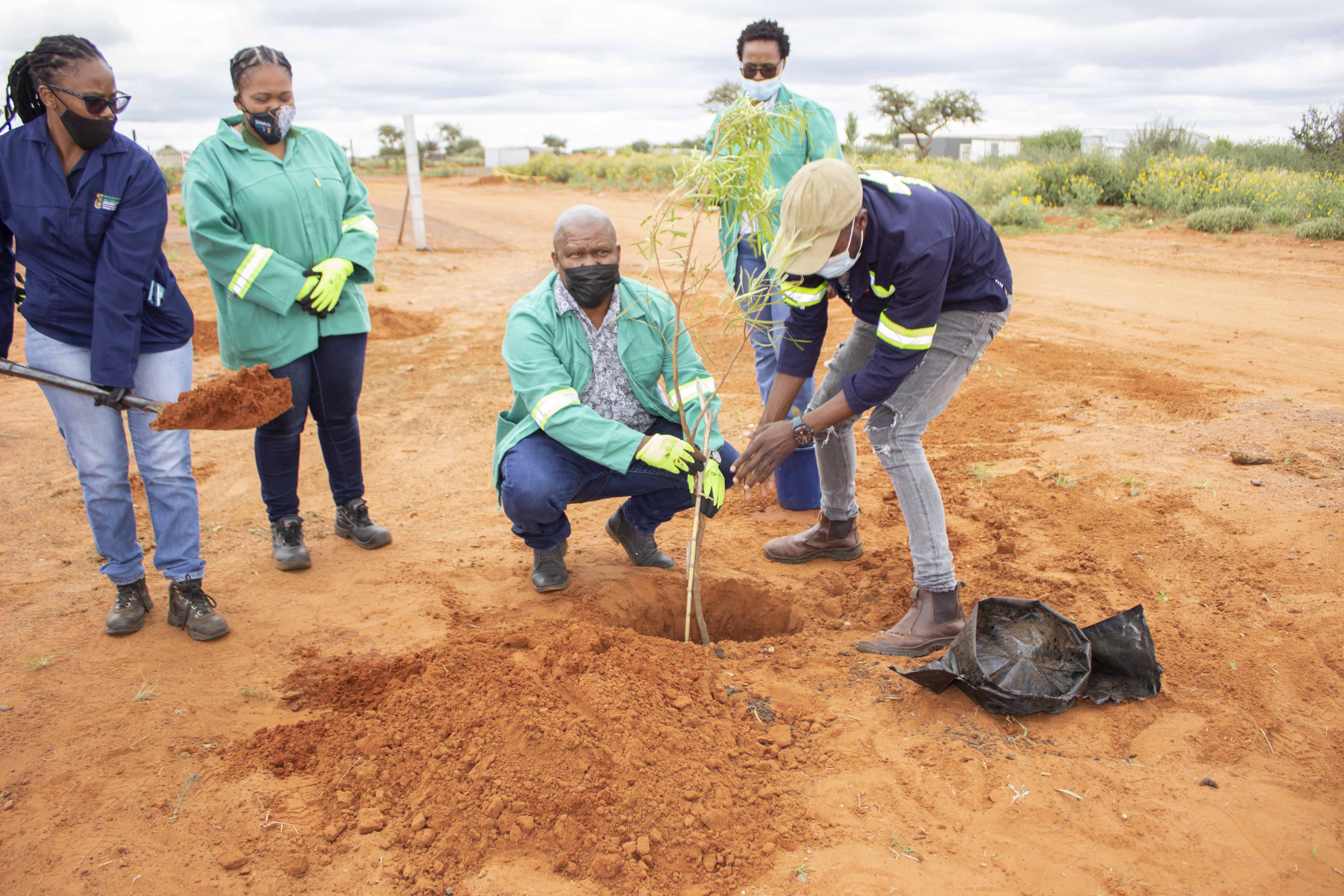 Gamagara Takes Part In Trees In Cities Challenge